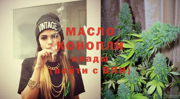 мет Дмитров