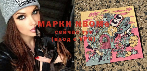 мет Дмитров