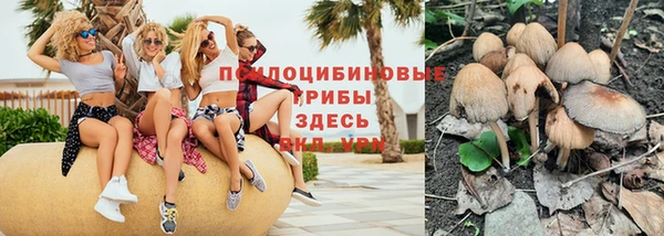 мет Дмитров