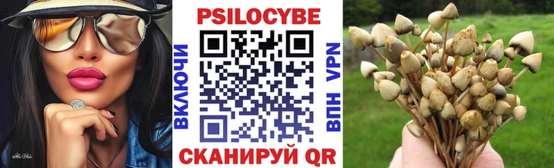 Псилоцибиновые грибы MAGIC MUSHROOMS  купить   Иланский 